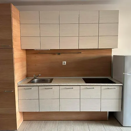 Gl Resort Apartments 公寓 索佐波尔